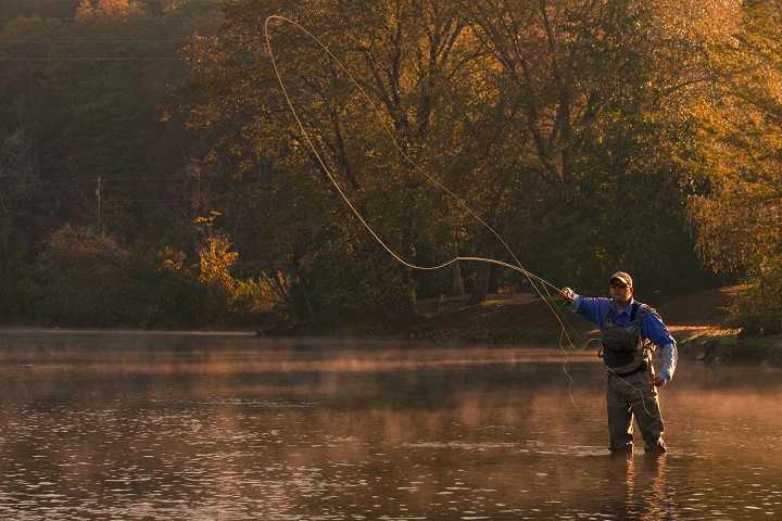 fishing image